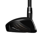PRGR RS SPEED Utility