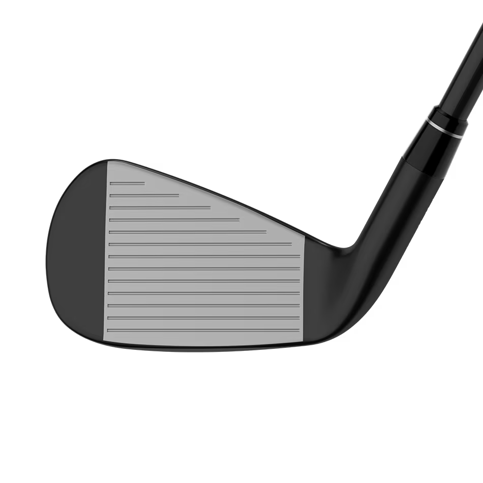 Callaway APEX Ai300 BLACK 6-Iron Set (#5~9, PW)