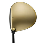 TaylorMade Qi35 Designer Series Driver Gold & Silver