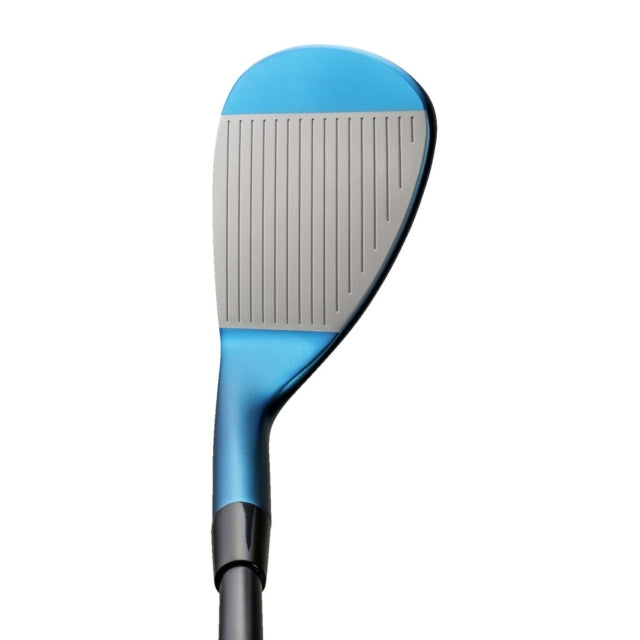 Mizuno Mizuno Pro T-1 Wedge 2-Set Blue IP Finish
